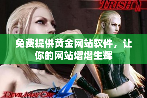 免费提供黄金网站软件，让你的网站熠熠生辉