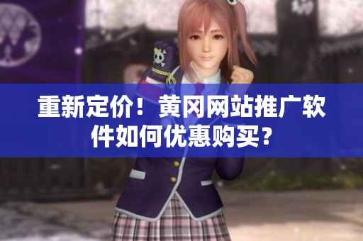 重新定价！黄冈网站推广软件如何优惠购买？