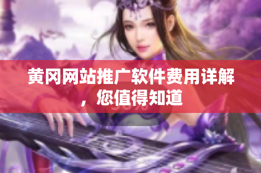 黄冈网站推广软件费用详解，您值得知道