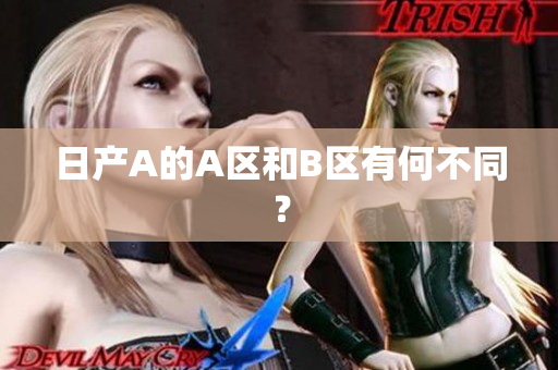 日产A的A区和B区有何不同？