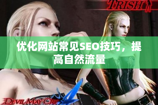 优化网站常见SEO技巧，提高自然流量