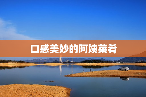口感美妙的阿姨菜肴