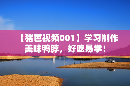 【猪芭视频001】学习制作美味鸭脖，好吃易学！