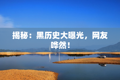 揭秘：黑历史大曝光，网友哗然！