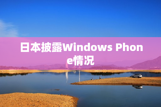日本披露Windows Phone情况