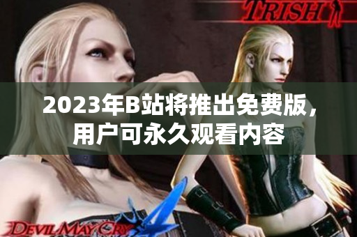 2023年B站将推出免费版，用户可永久观看内容