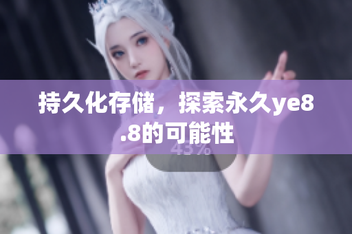 持久化存储，探索永久ye8.8的可能性