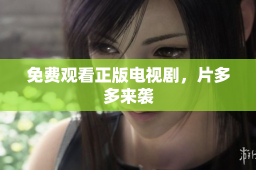 免费观看正版电视剧，片多多来袭