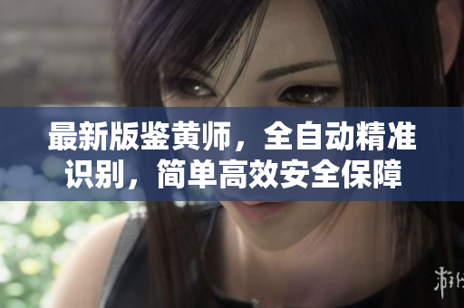 最新版鉴黄师，全自动精准识别，简单高效安全保障