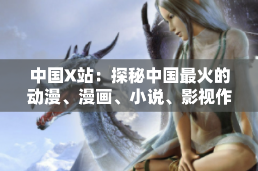 中国X站：探秘中国最火的动漫、漫画、小说、影视作品平台
