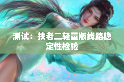 测试：扶老二轻量版线路稳定性检验