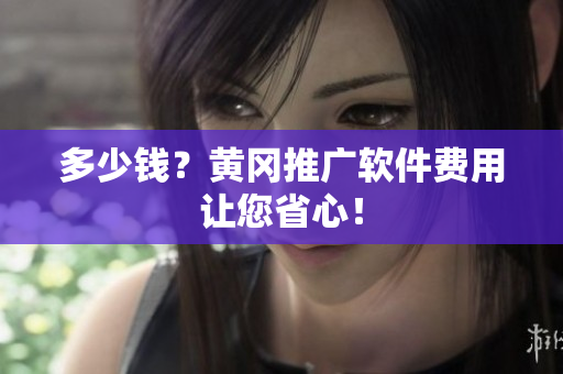多少钱？黄冈推广软件费用让您省心！
