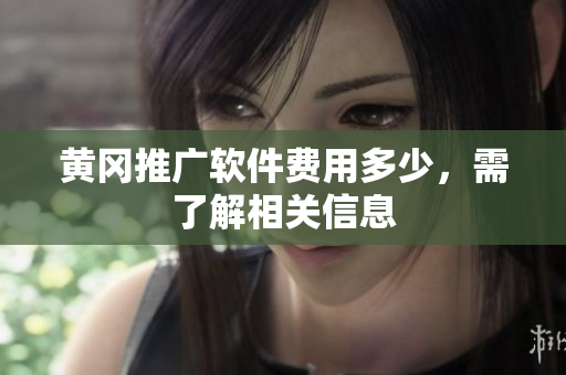 黄冈推广软件费用多少，需了解相关信息