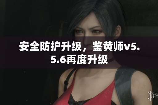安全防护升级，鉴黄师v5.5.6再度升级