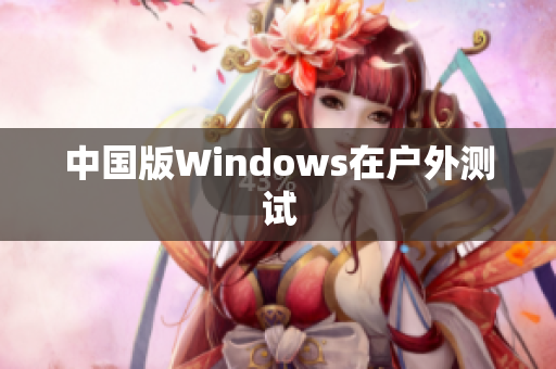 中国版Windows在户外测试