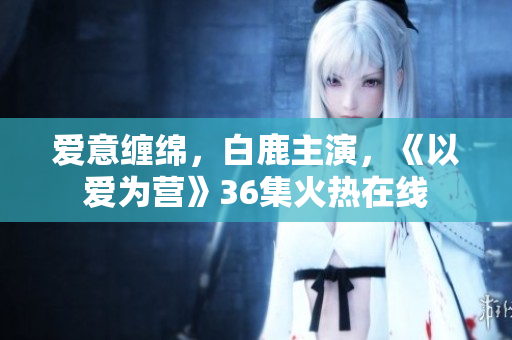 爱意缠绵，白鹿主演，《以爱为营》36集火热在线