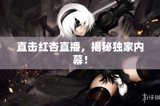 直击红杏直播，揭秘独家内幕！