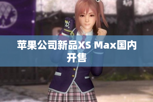 苹果公司新品XS Max国内开售