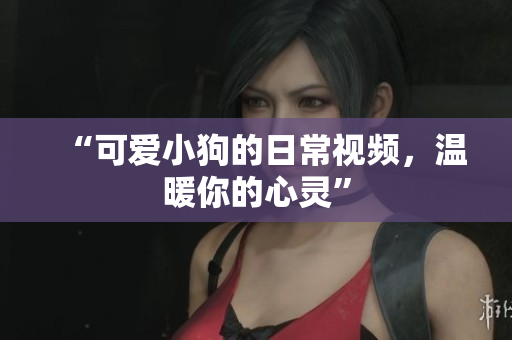 “可爱小狗的日常视频，温暖你的心灵”