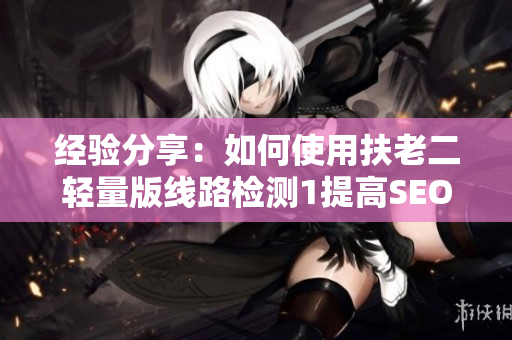经验分享：如何使用扶老二轻量版线路检测1提高SEO效果