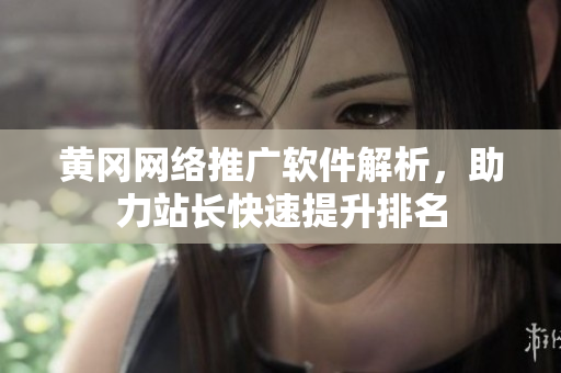 黄冈网络推广软件解析，助力站长快速提升排名