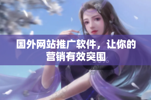国外网站推广软件，让你的营销有效突围