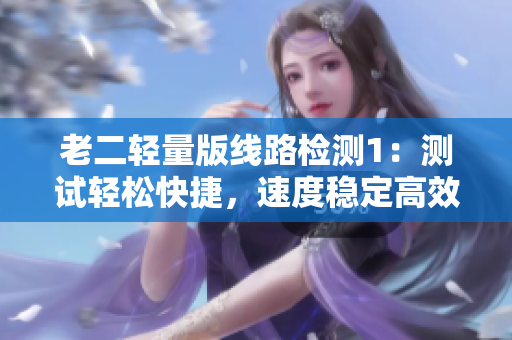 老二轻量版线路检测1：测试轻松快捷，速度稳定高效