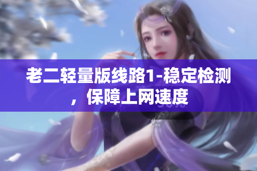 老二轻量版线路1-稳定检测，保障上网速度