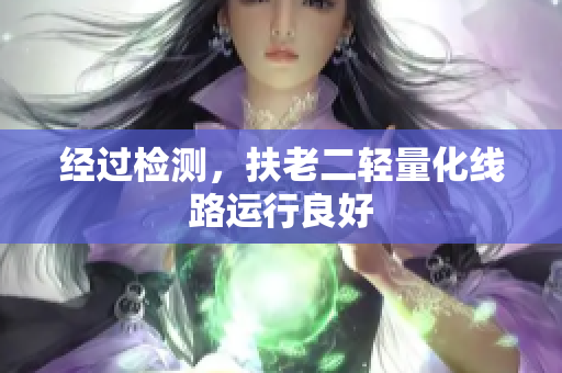 经过检测，扶老二轻量化线路运行良好
