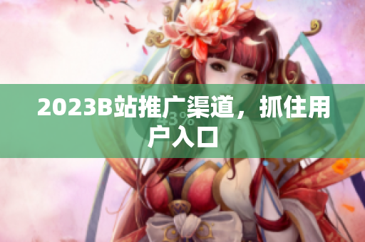 2023B站推广渠道，抓住用户入口