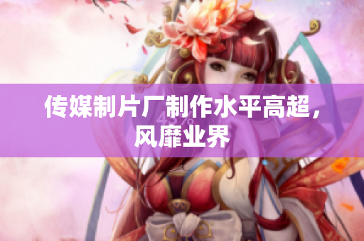 传媒制片厂制作水平高超，风靡业界