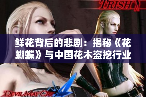 鲜花背后的悲剧：揭秘《花蝴蝶》与中国花木盗挖行业黑幕