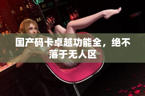 国产码卡卓越功能全，绝不落于无人区