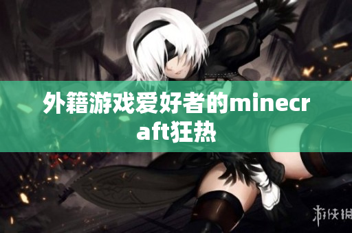 外籍游戏爱好者的minecraft狂热