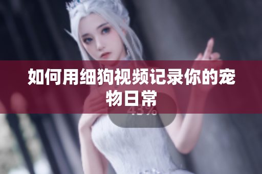 如何用细狗视频记录你的宠物日常