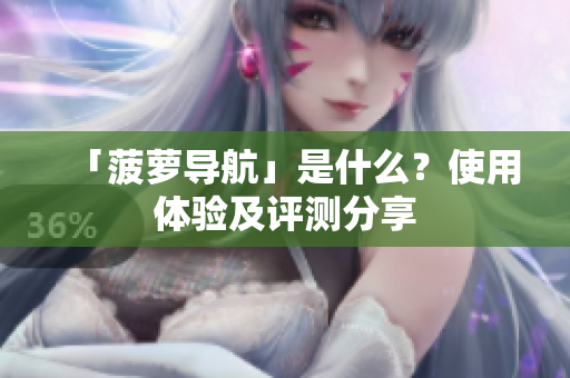 「菠萝导航」是什么？使用体验及评测分享