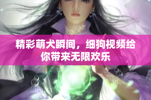 精彩萌犬瞬间，细狗视频给你带来无限欢乐