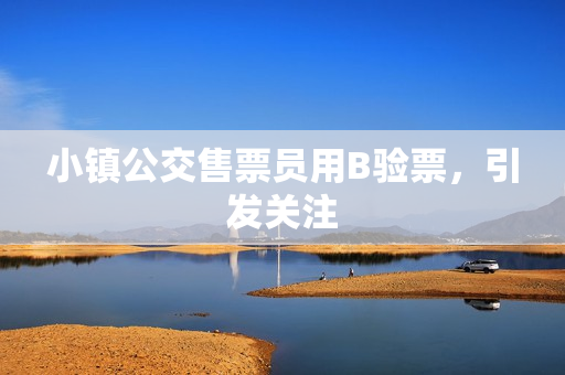 小镇公交售票员用B验票，引发关注