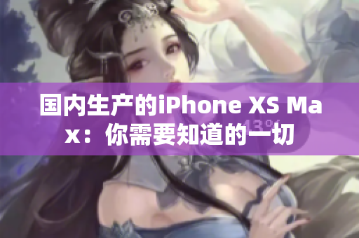 国内生产的iPhone XS Max：你需要知道的一切