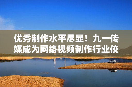 优秀制作水平尽显！九一传媒成为网络视频制作行业佼佼者