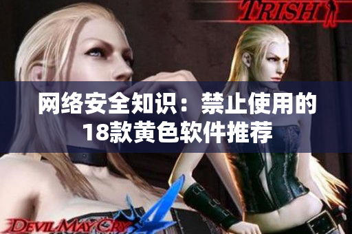 网络安全知识：禁止使用的18款黄色软件推荐