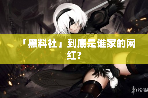 「黑料社」到底是谁家的网红？