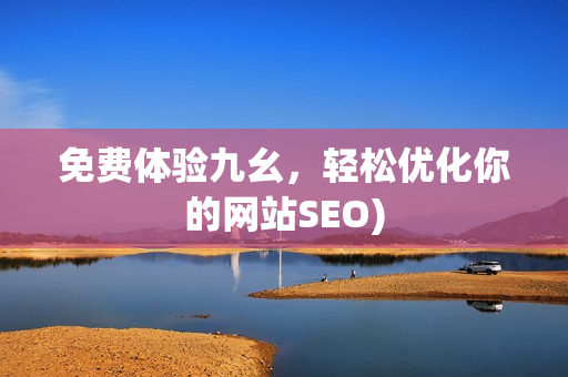 免费体验九幺，轻松优化你的网站SEO)