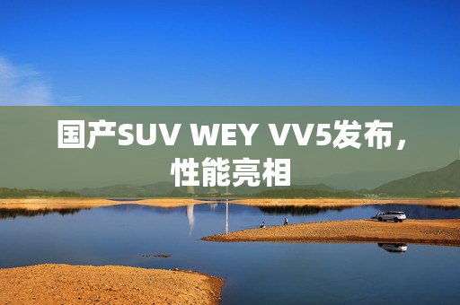 国产SUV WEY VV5发布，性能亮相
