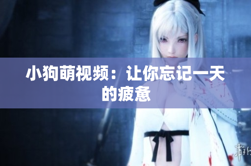 小狗萌视频：让你忘记一天的疲惫