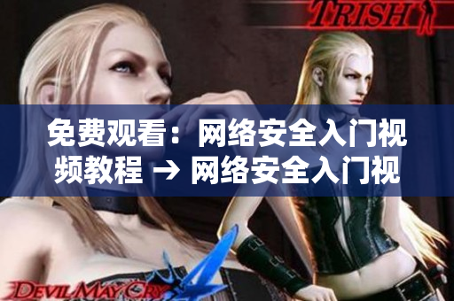 免费观看：网络安全入门视频教程 → 网络安全入门视频教程免费观看