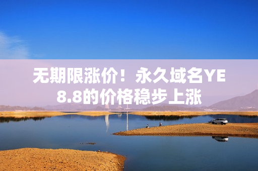 无期限涨价！永久域名YE8.8的价格稳步上涨