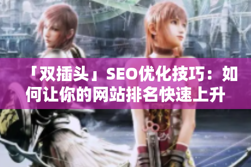 「双插头」SEO优化技巧：如何让你的网站排名快速上升？