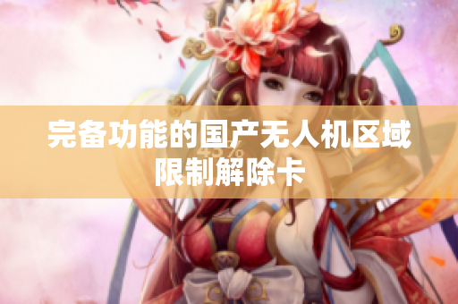 完备功能的国产无人机区域限制解除卡