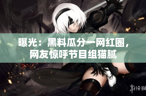 曝光：黑料瓜分一网红圈，网友惊呼节目组猫腻